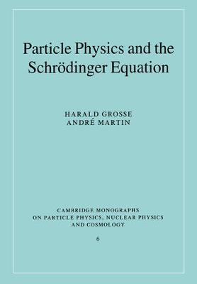 Particle Physics and the Schr&ouml;dinger Equation - Harald Grosse, Andri Martin