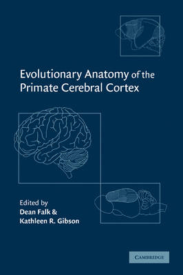 Evolutionary Anatomy of the Primate Cerebral Cortex - 
