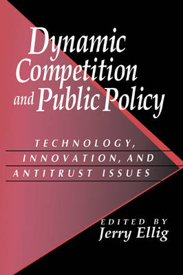 Dynamic Competition and Public Policy - 