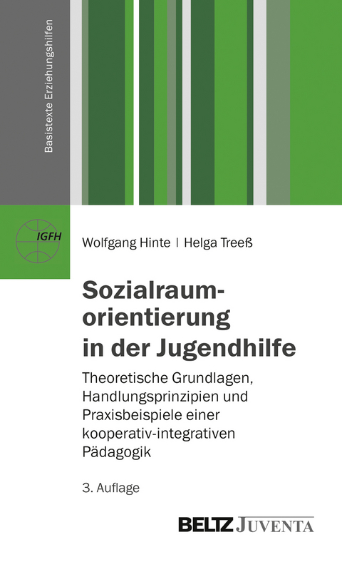 Sozialraumorientierung in der Jugendhilfe - Wolfgang Hinte, Helga Tree&szlig;