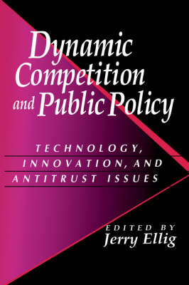 Dynamic Competition and Public Policy