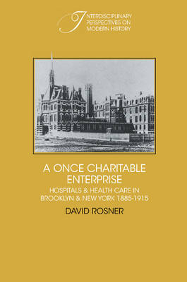 A Once Charitable Enterprise - David Rosner