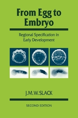 From Egg to Embryo - J. M. W. Slack