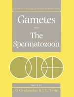 Gametes - The Spermatozoon