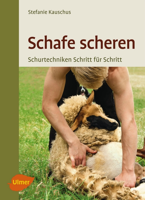 Schafe scheren - Stefanie Kauschus