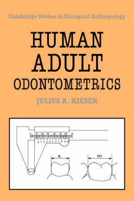Human Adult Odontometrics - Julius A. Kieser