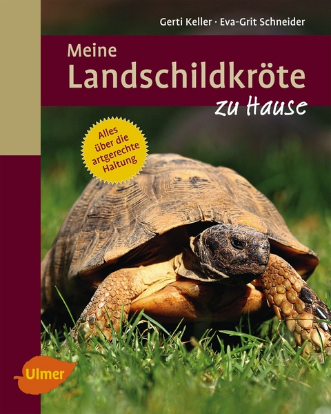 Meine Landschildkr&ouml;te zu Hause - Gerti Keller, Eva-Grit Schneider