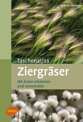 Ziergräser