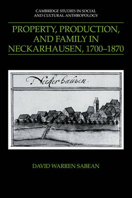 Property, Production, and Family in Neckarhausen, 1700&ndash;1870 - David Warren Sabean