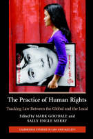 The Practice of Human Rights - 