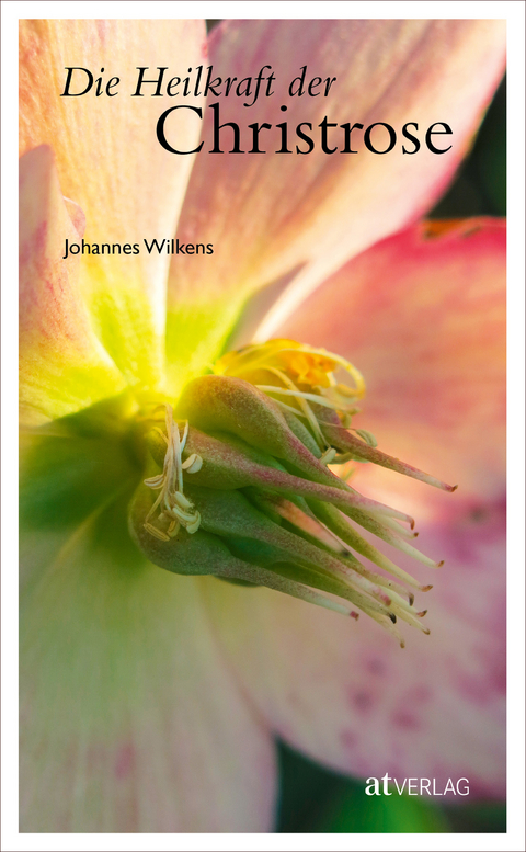 Die Heilkraft der Christrose - Johannes Wilkens