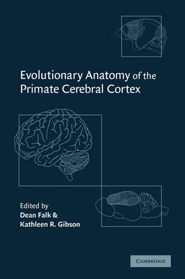 Evolutionary Anatomy of the Primate Cerebral Cortex - 
