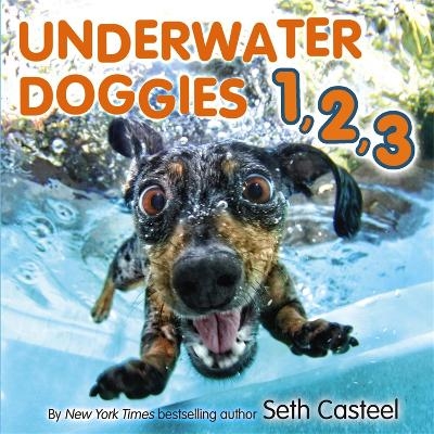 Underwater Doggies 1,2,3 - Seth Casteel