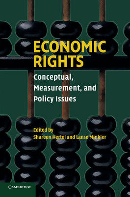 Economic Rights - Shareen Hertel, Lanse Minkler