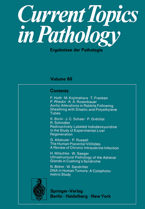 Current Topics in Pathology / Ergebnisse der Pathologie - E. Grundmann, W. H. Kirsten