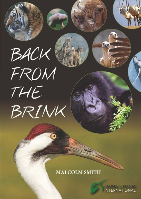 Back from the Brink - Malcolm Smith