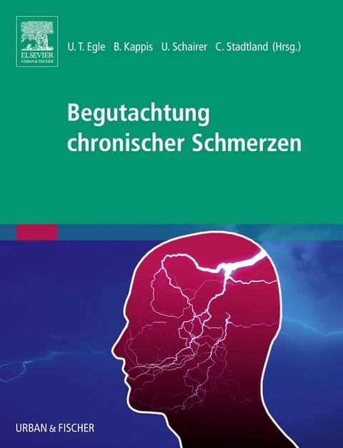 Begutachtung chronischer Schmerzen - 
