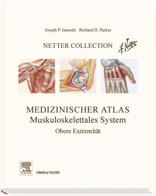 Netter Collection  Muskuloskelettales System Band 1