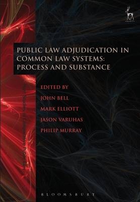 Public Law Adjudication in Common Law Systems
