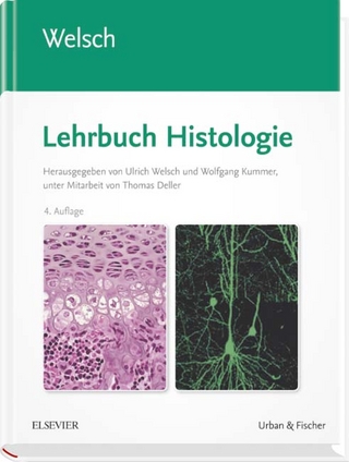 Sobotta Lehrbuch Histologie