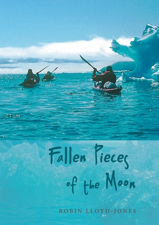 Fallen Pieces of the Moon