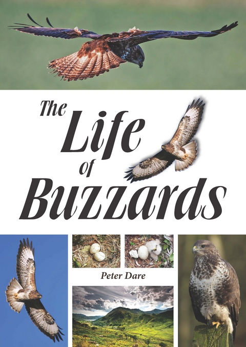The Life of Buzzards - Peter Dare