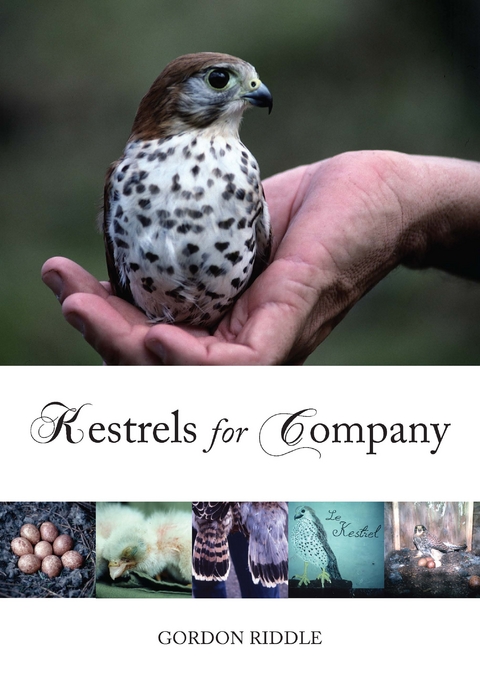 Kestrels for Company - Gordon Riddle