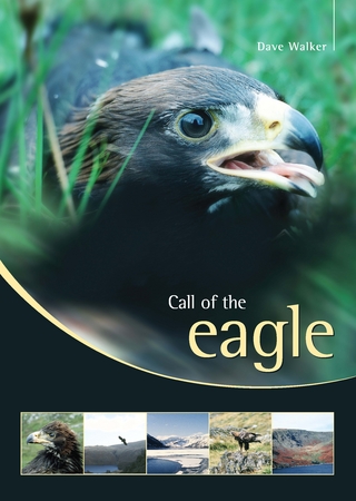 Call of the Eagle