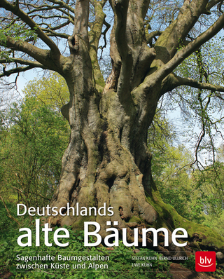 Deutschlands alte Bäume