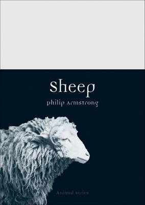 Sheep -  Philip Armstrong