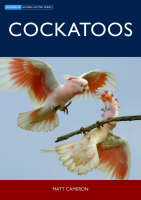 Cockatoos - Matt Cameron
