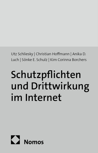 Schutzpflichten und Drittwirkung im Internet