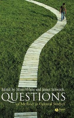 Questions of Method in Cultural Studies - 