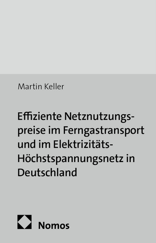Effiziente Netznutzungspreise im Ferngastransport und im Elektrizitäts-Höchstspannungsnetz in Deutschland