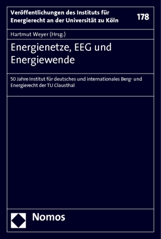 Energienetze, EEG und Energiewende