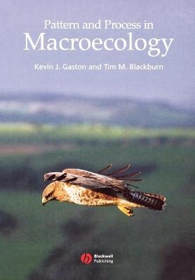 Pattern and Process in Macroecology - Kevin Gaston, Tim Blackburn