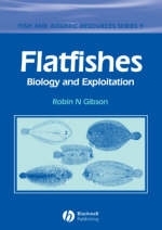 Flatfishes - 
