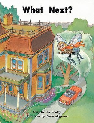 Story Basket, What's Next?, Big Book - Joy Cowley