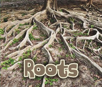 All About Roots - Claire Throp