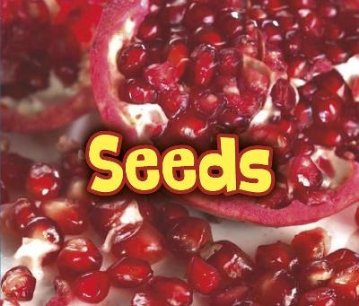 All About Seeds - Claire Throp