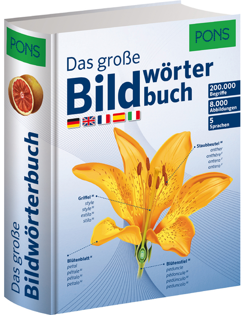 PONS Das gro&szlig;e Bildw&ouml;rterbuch