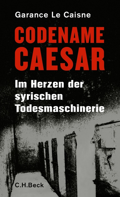 Codename Caesar - Garance Le Caisne