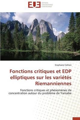 Fonctions critiques et edp elliptiques sur les variétés riemanniennes