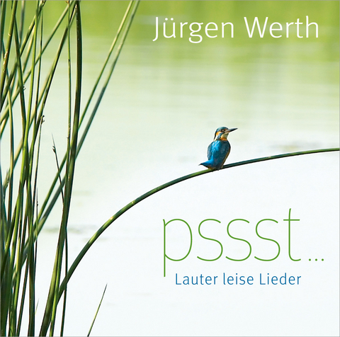 Pssst..., 1 Audio-CD - J&uuml;rgen Werth