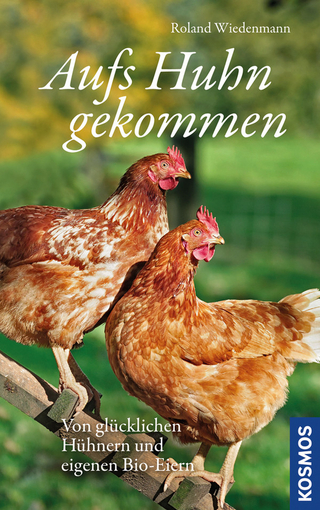 Aufs Huhn gekommen