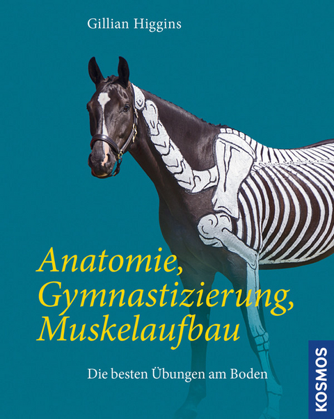 Anatomie, Gymnastizierung, Muskelaufbau - Gillian Higgins