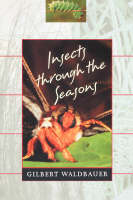 Insects through the Seasons - Gilbert WALDBAUER
