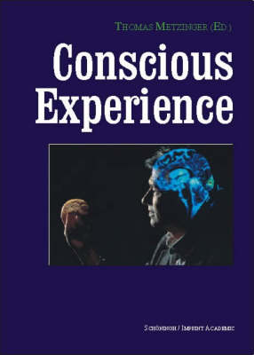 Conscious Experience