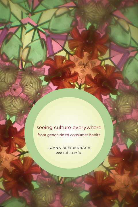 Seeing Culture Everywhere - Joana Breidenbach, P&aacute;l Ny&iacute;ri