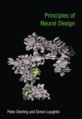 Principles of Neural Design -  Simon Laughlin,  Peter Sterling